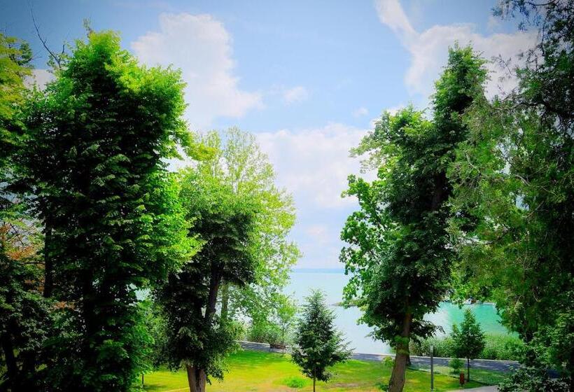 דירת חדר דלוקס, Oliver Lux