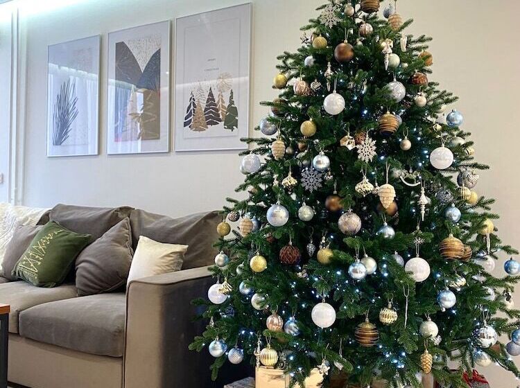 آپارتمان لوکس 1 خوابه, The First Apart