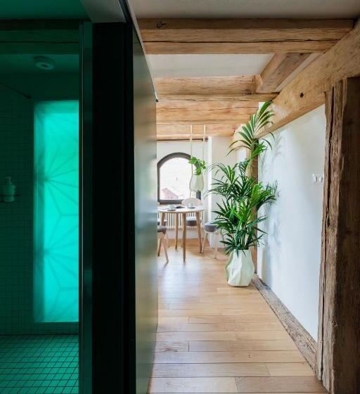 آپارتمان سوپریور 1 خوابه, Apartamenty Monka