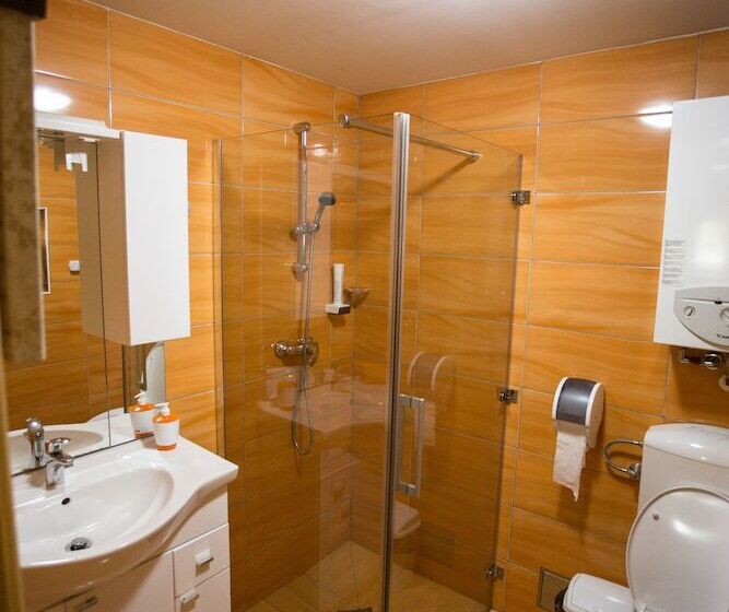 کلبه ییلاقی دلوکس یک خوابه, Korošec Apartments And Wellness Centre