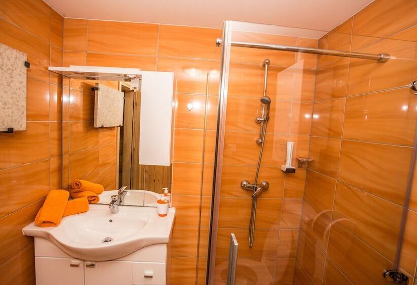 کلبه ییلاقی دلوکس یک خوابه, Korošec Apartments And Wellness Centre