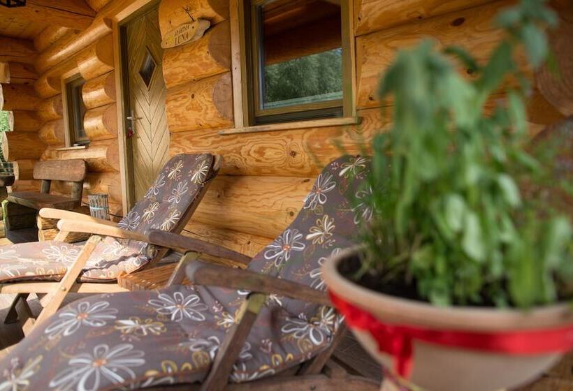 کلبه ییلاقی دلوکس یک خوابه, Korošec Apartments And Wellness Centre