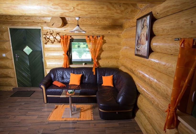 کلبه ییلاقی دلوکس یک خوابه, Korošec Apartments And Wellness Centre