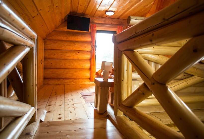 کلبه ییلاقی دلوکس یک خوابه, Korošec Apartments And Wellness Centre