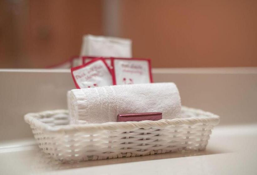 חדר סטנדרט, Alex