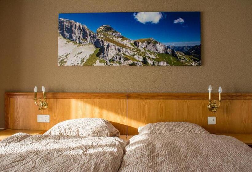 スタンダードシングルルーム, Alpine Classic