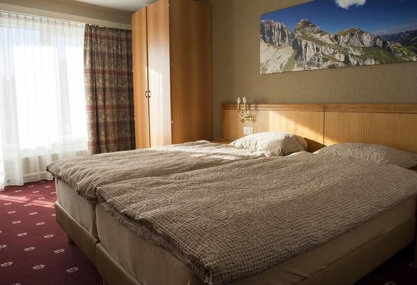 スタンダードシングルルーム, Alpine Classic