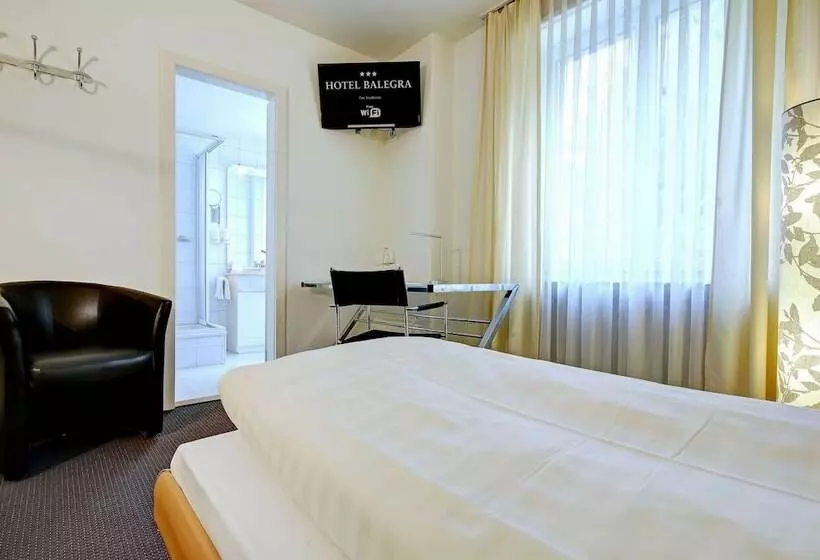 اتاق سوپریور یک تخته, Balegra City Hotel Basel Contactless Self Check In