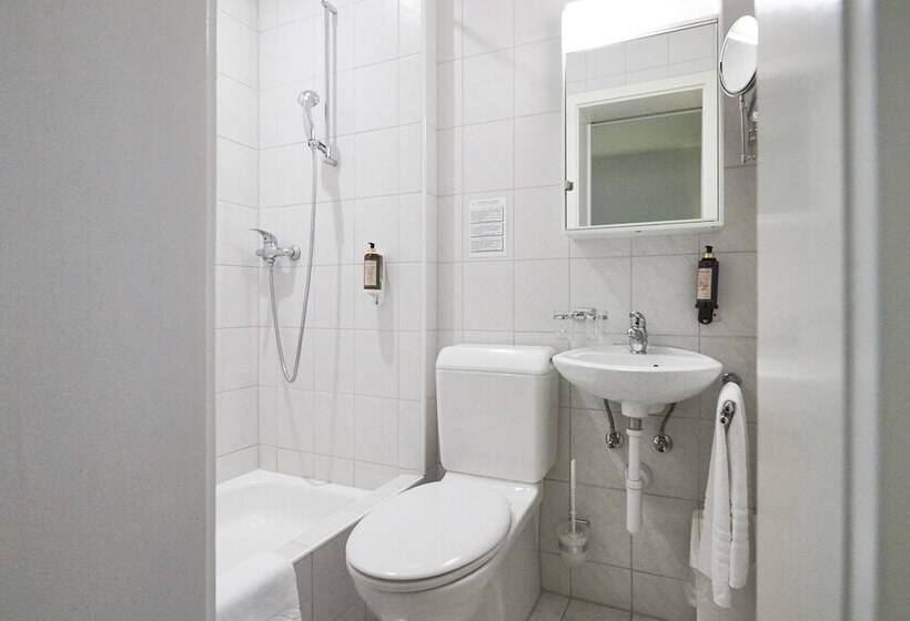 수피리어 룸, Balegra City Hotel Basel Contactless Self Check In