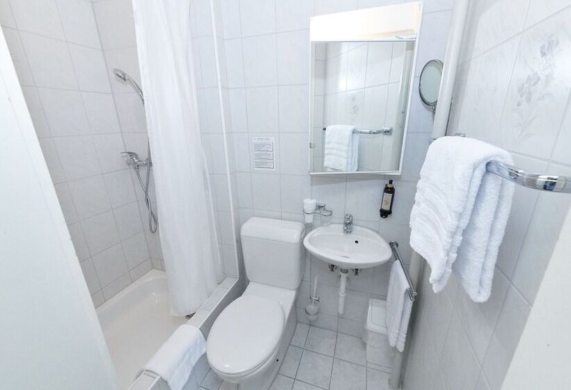 스탠다드 싱글 룸, Balegra City Hotel Basel Contactless Self Check In