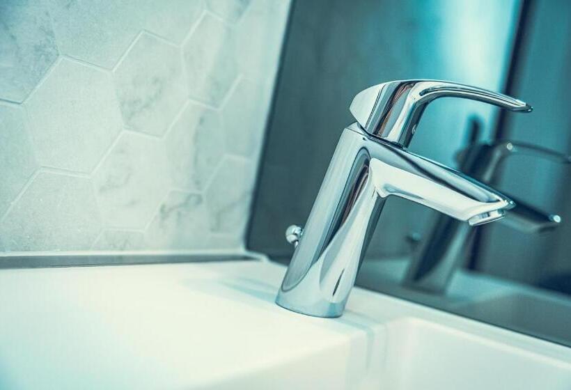 اتاق استاندارد یک نفره, Bernina Geneva