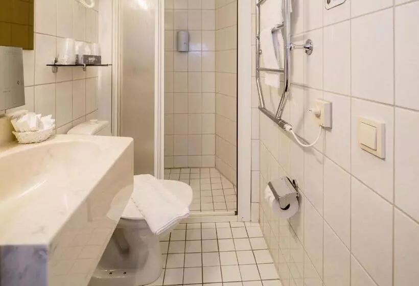 Standard Yhden Hengen Huone, Grand Hotel Falkenberg