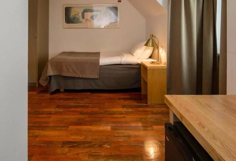 Standard Yhden Hengen Huone, Grand Hotel Falkenberg