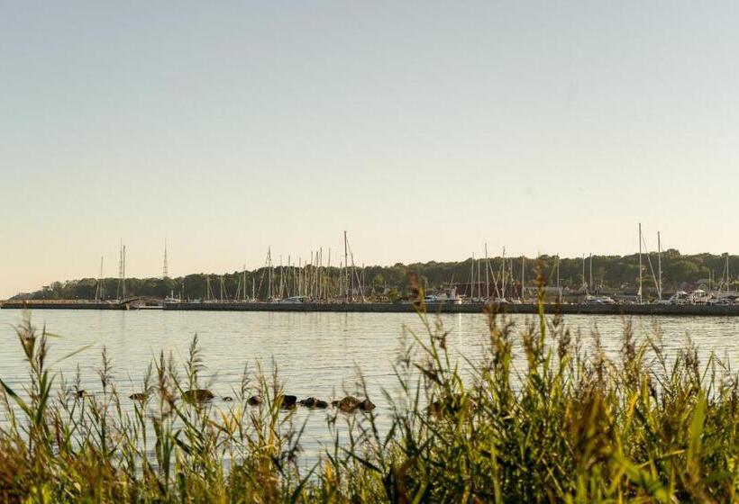 Juniorsviitti Merinäkymä, L Hanöhus Hällevik