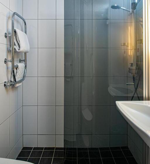스탠다드 싱글 룸, Quality Hotel Statt
