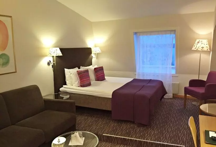 Chambre Affaires, Mora Hotell & Spa