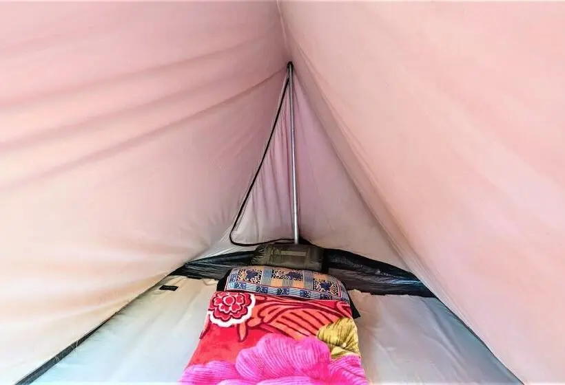 چادر با خدمات رفاهی استاندارد, Triund Camps Riverside Resort