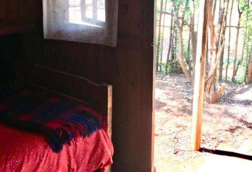 标准单人间, Sabie Gypsy's Backpackers