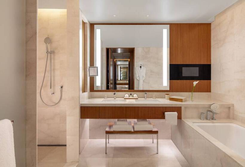 اتاق استاندارد با چشم‌انداز شهر, Park Hyatt Doha