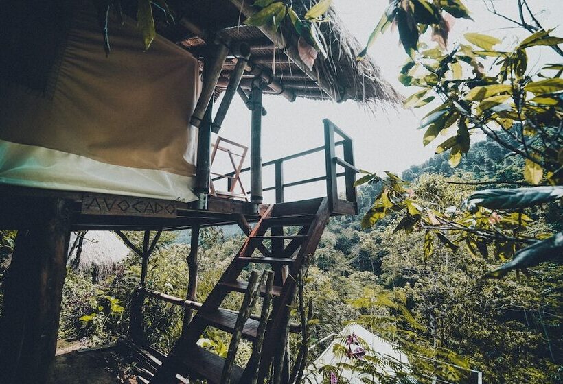 Deluxe Tent, Desa Eko