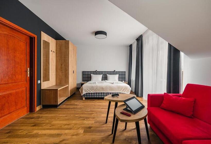 اتاق استاندارد پلاس, Szczawnica Park Resort & Spa