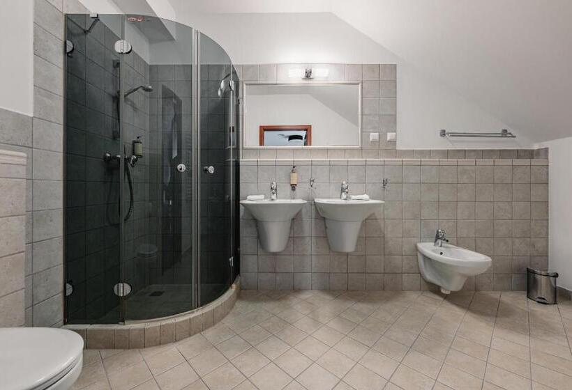 اتاق استاندارد پلاس, Szczawnica Park Resort & Spa