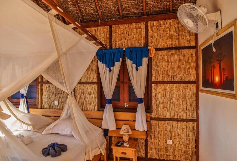 اتاق استاندارد, Cap Kimony