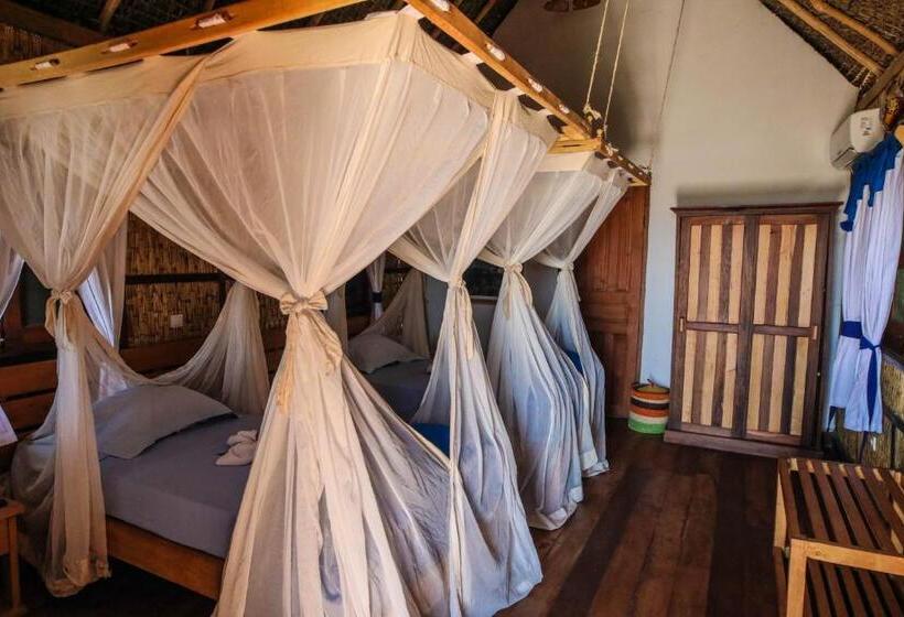 اتاق استاندارد, Cap Kimony