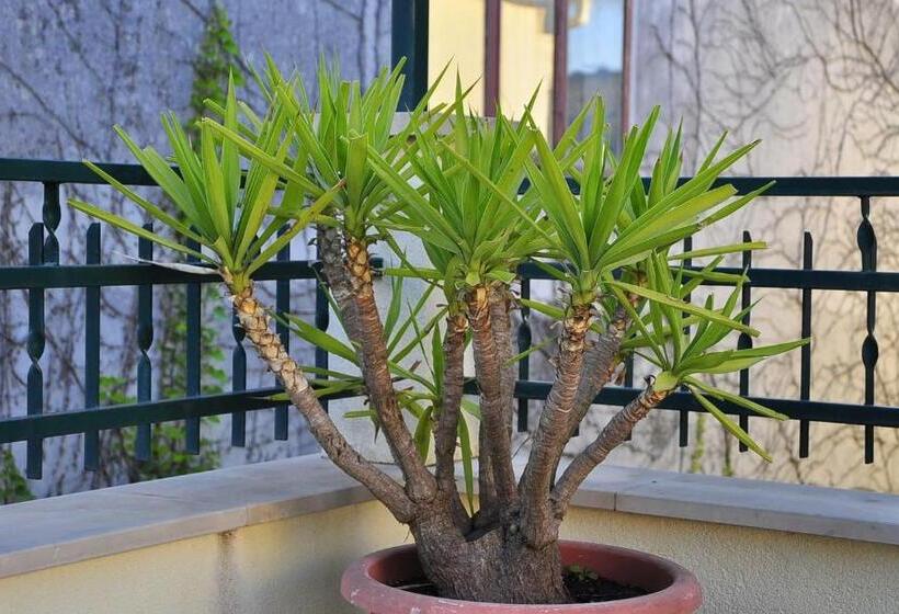 带1个卧室的高级公寓, House Bakica