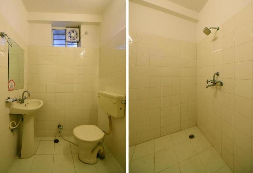 Quarto Basic, Oyo 22915 C M Regency