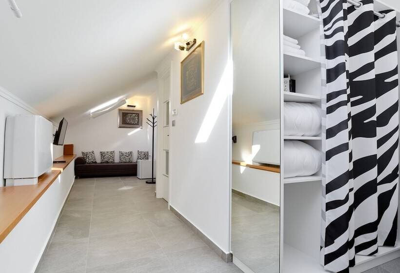 اتاق استاندارد, Zebra