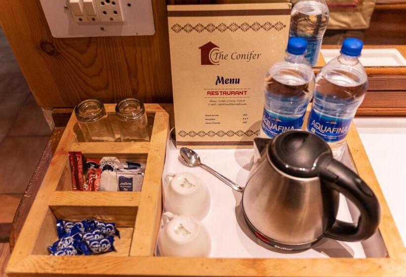 اتاق خانوادگی, The Conifer