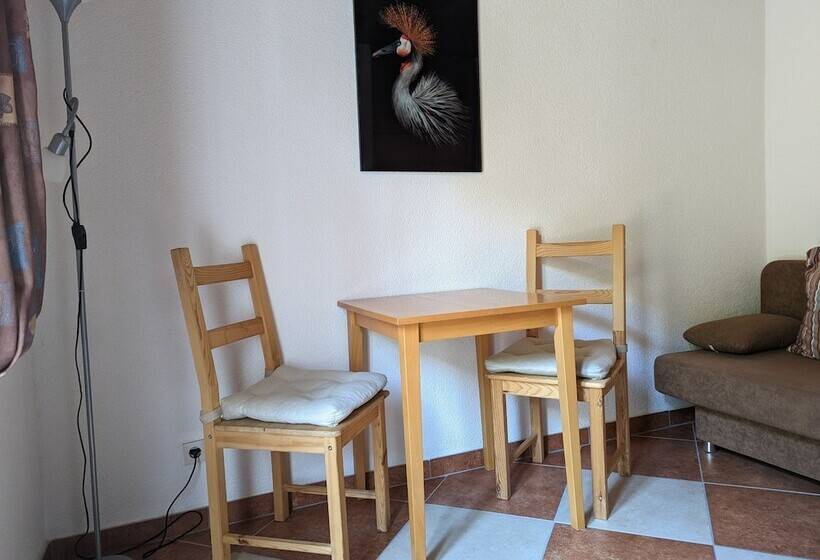 스탠다드 발코니 룸, Pension Winzerhaus