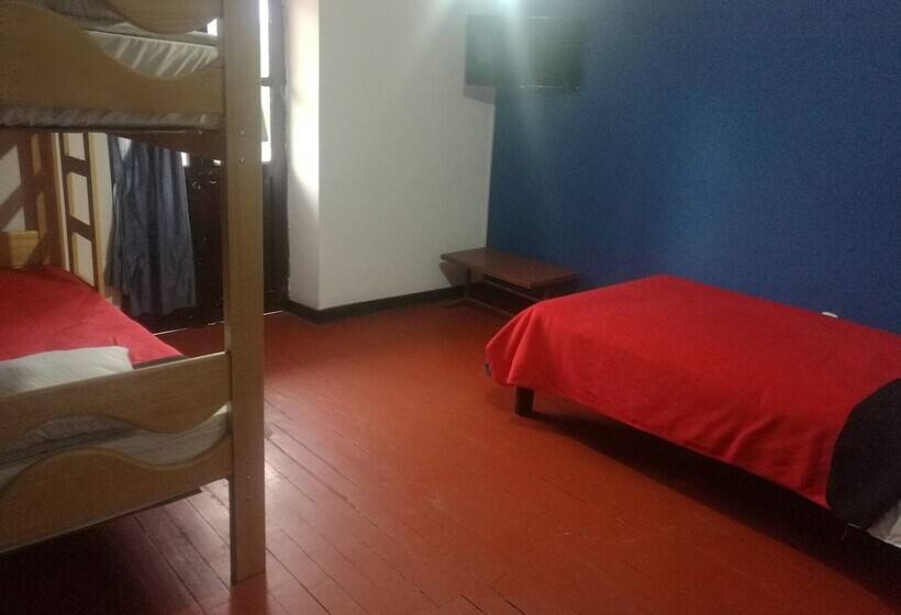 Bas Trippelrum, Gringo´s House