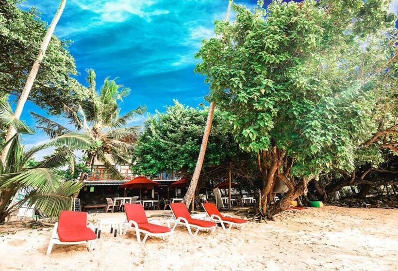 غرفة قياسية, Surf Sea Breeze