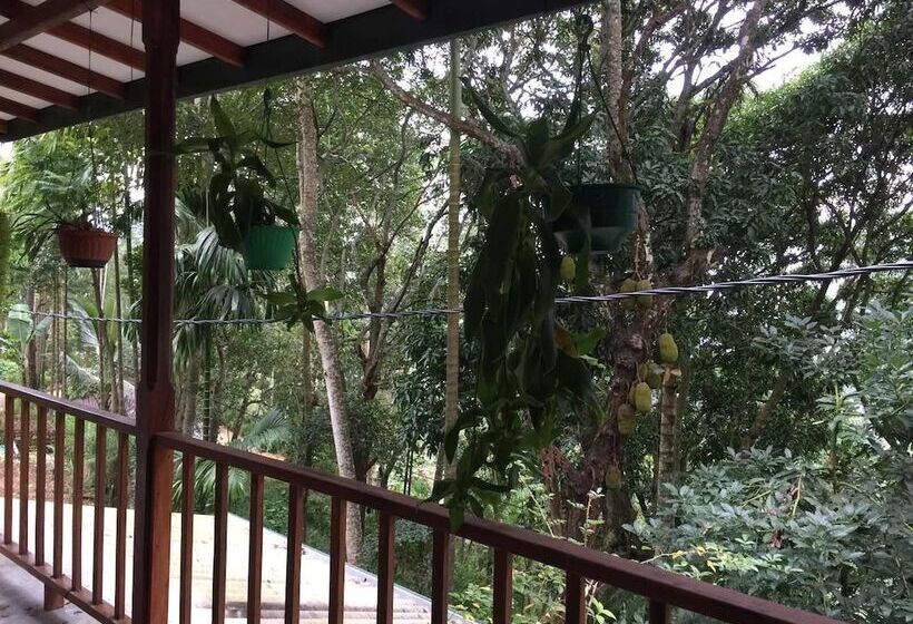 Quarto Estandar, Ella Nature Nest
