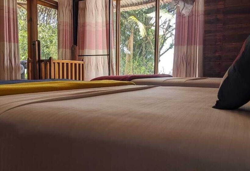 חדר משפחתי, Ella Nature Nest