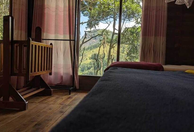 Quarto Familiar, Ella Nature Nest