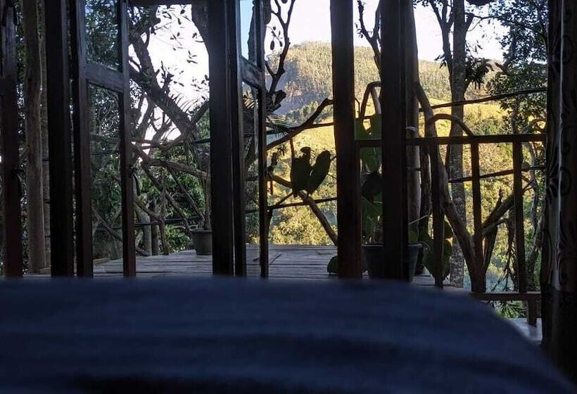 Quarto Triplo Clássico, Ella Nature Nest