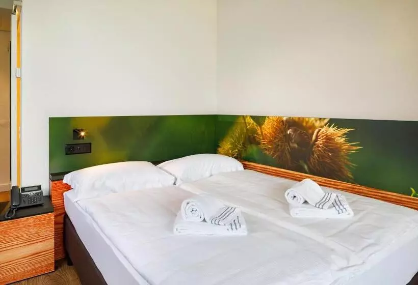 Standard-invahuone Queen-vuode, Bellinzona Sud Swiss Quality
