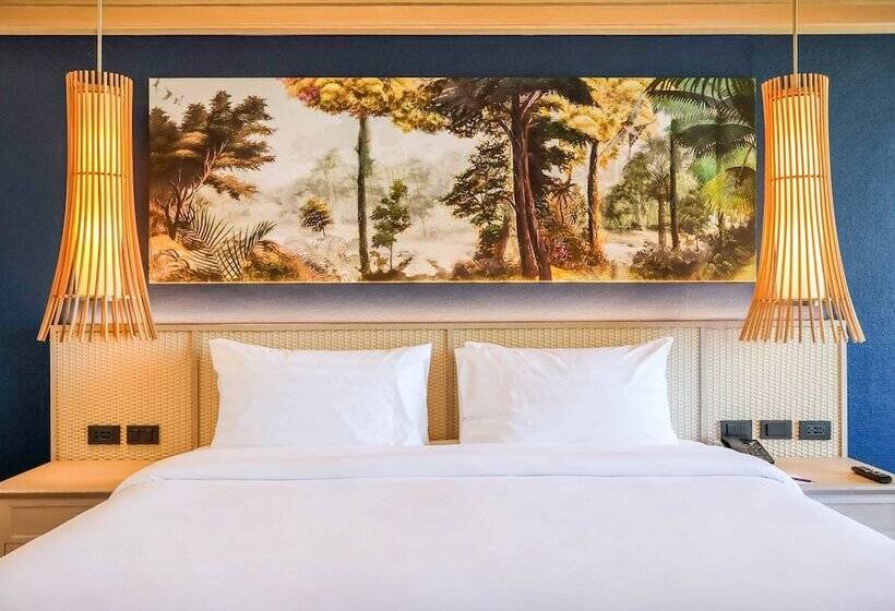 デラックスルーム, Beyond Kata