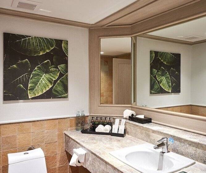 デラックスルーム, Beyond Kata