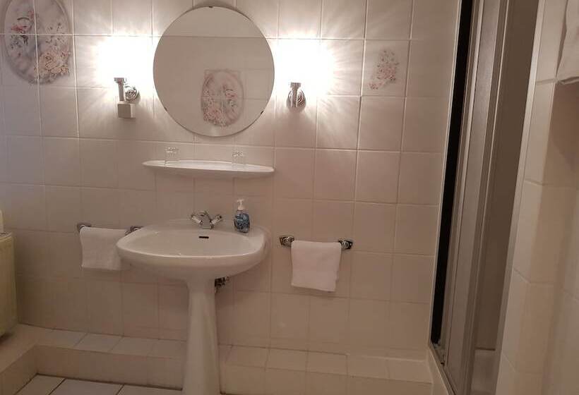 غرفة قياسية, City Hotel Hameln