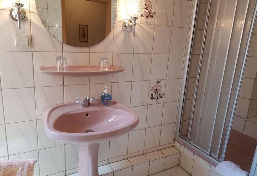 غرفة قياسية, City Hotel Hameln