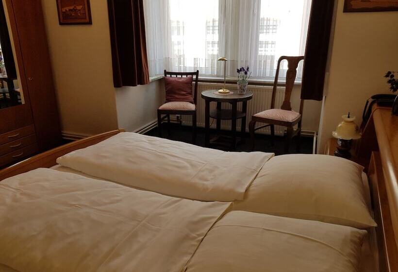 غرفة قياسية, City Hotel Hameln