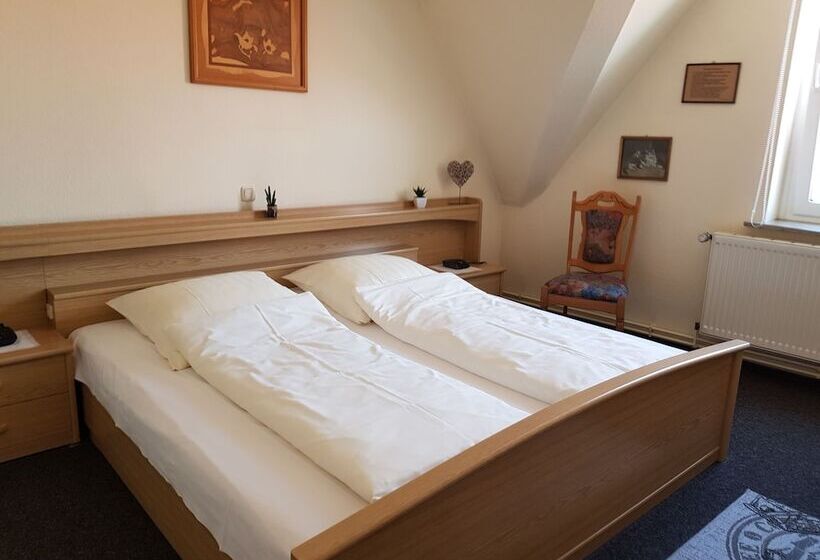 غرفة قياسية, City Hotel Hameln