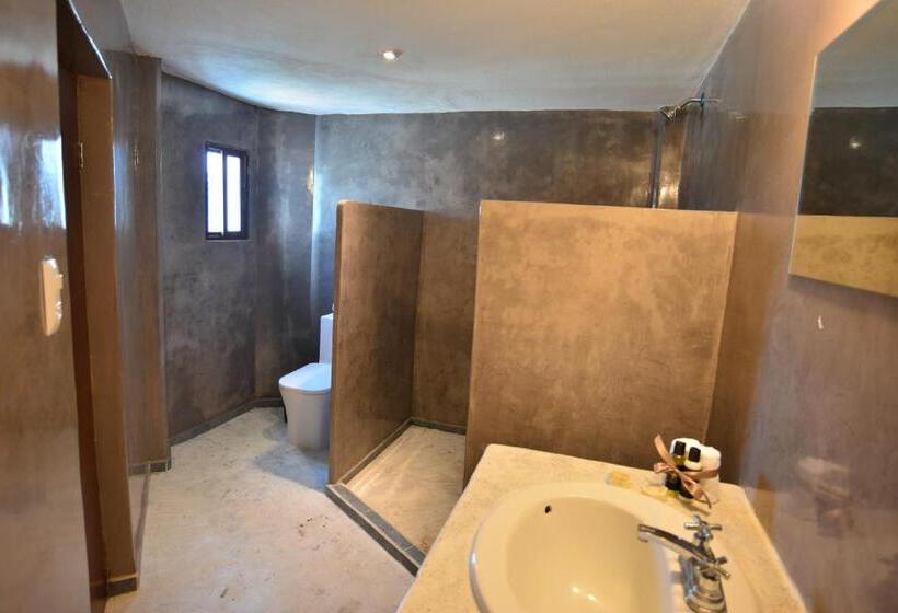 Номер Стандарт, Rio Lagartos