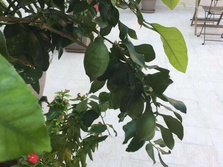 标准间带双人床, B&b Radici