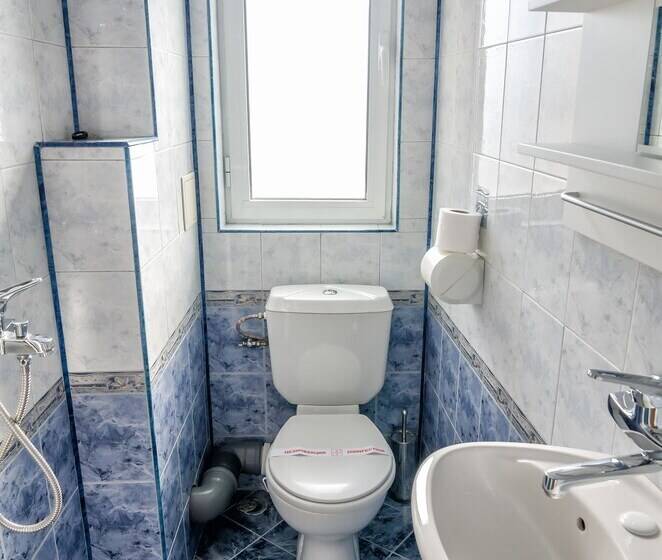 Семейный Номер, Dom Mladenovi B&b