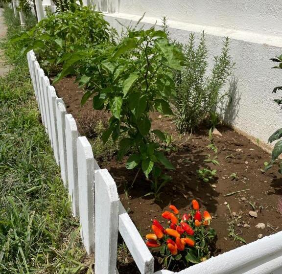 Номер Стандарт Вид на Сад, Grand Hotel Royal